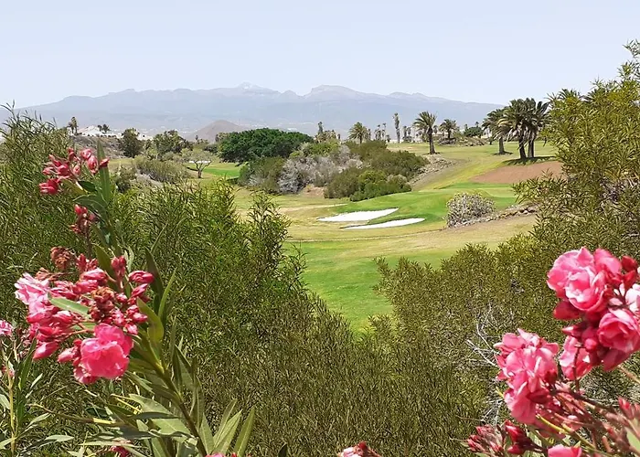 Apartamento Edificio Canadas San Miguel de Abona